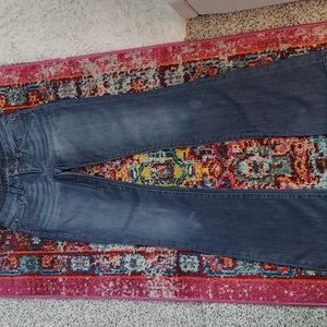 Women's Joe's Scarlet Distressed Denim Long Jeans Sz 25